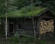 Užite si saunu -r&yacute;dzo - natur&aacute;lne.&nbsp;